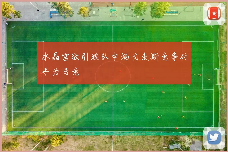 水晶宫欲引狼队中场戈麦斯竞争对手为马竞